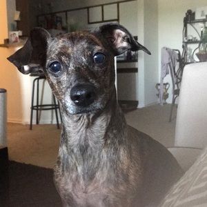 Meet your Posher, Tinnia